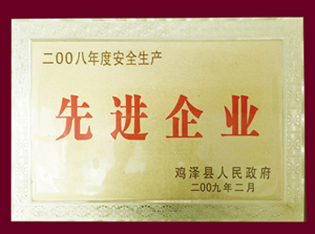 2008年度安全生產(chǎn)先進單位